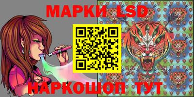 индика Кинель