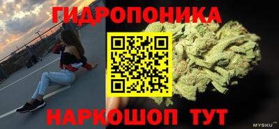 дживик Кимры