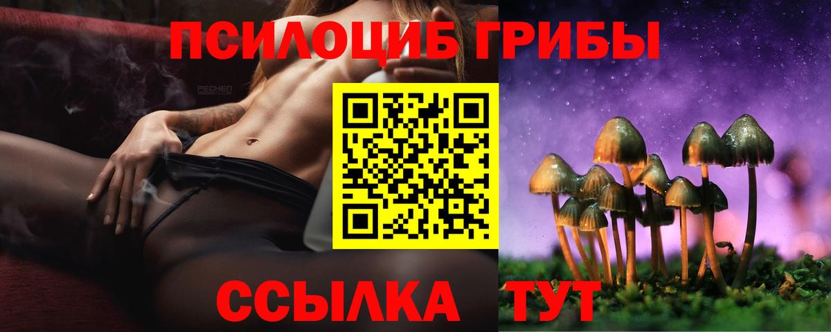 Галлюциногенные грибы Cubensis  Вход с VPN  Мурманск  Галлюциногенные грибы Psilocybe 